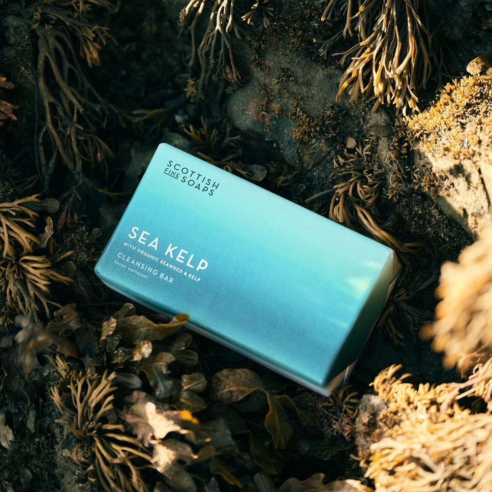 SFS Cleansing Bar Sea Kelp 220g