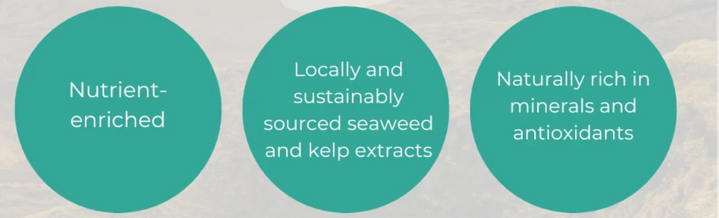 SFS Sea Kelp Seife Hand Wash 300ml
